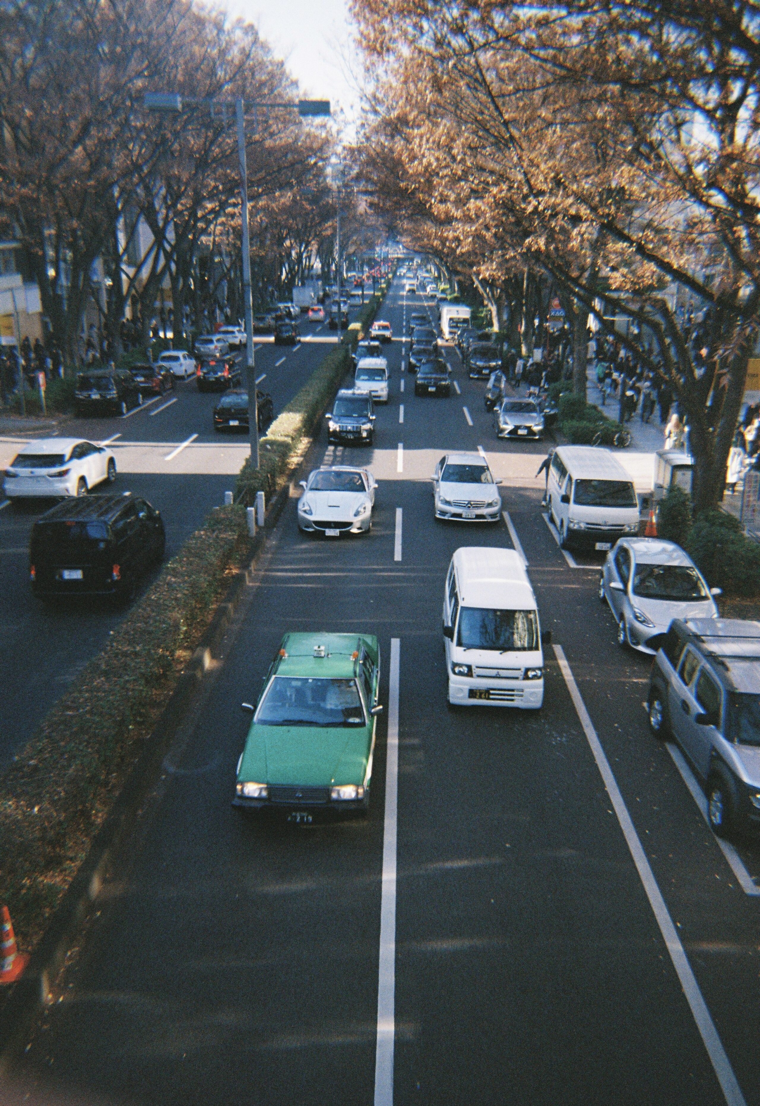 Kodak M38作例写真