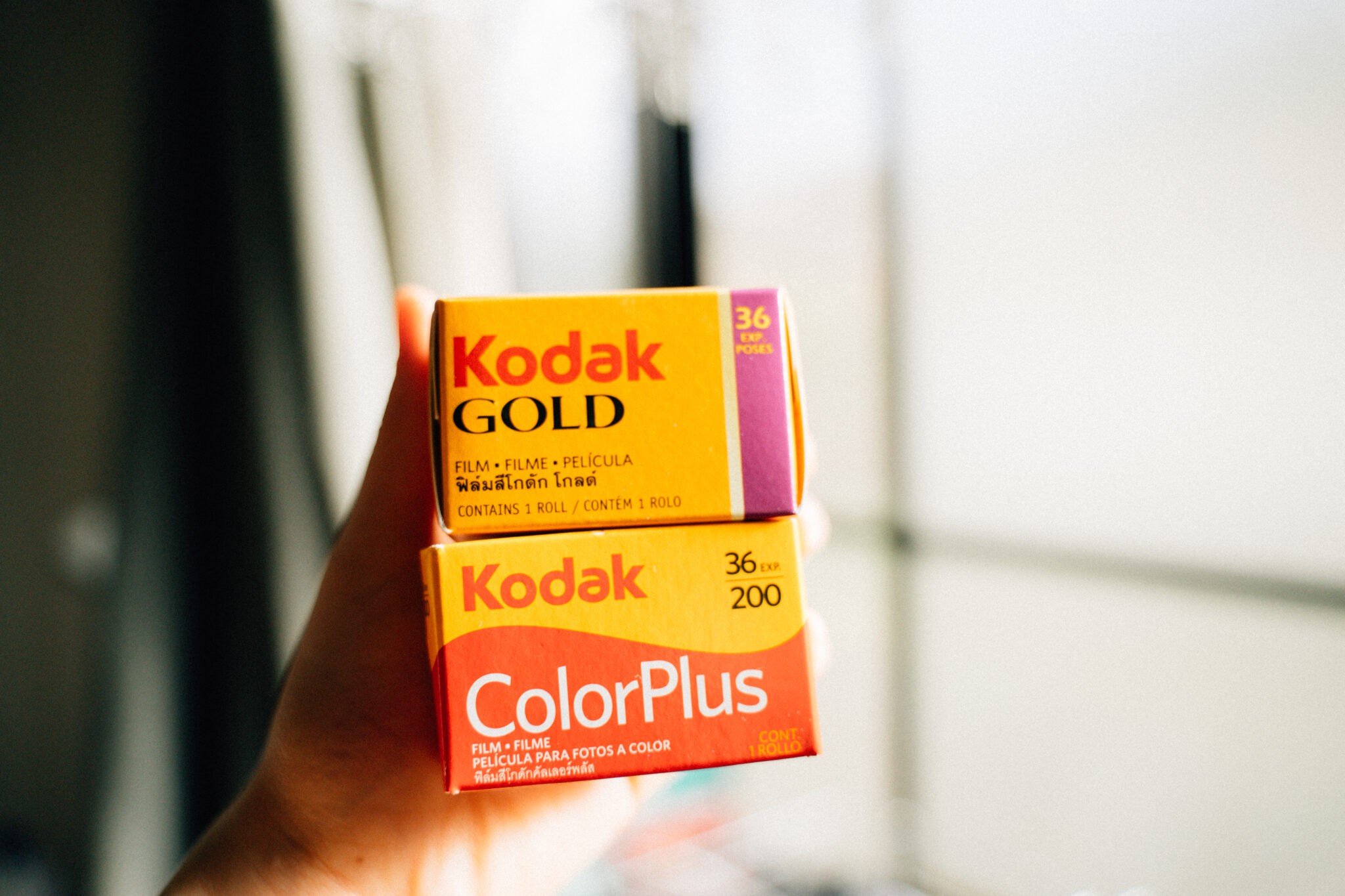 Kodak GOLD200とColorPlus200を撮り比べ