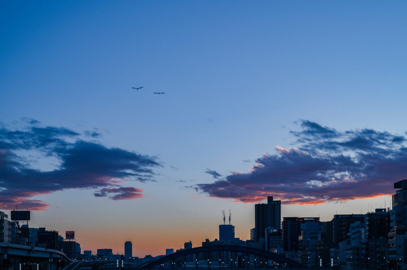 M11-Dで夕方の橋を撮影した写真